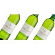 AFRIQUE DU SUD - Sauvignon Blanc (90/10 R. Parker)